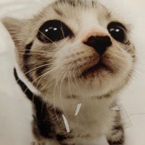 Meet your Posher, jo